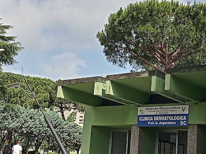 Istituto Dermatologia Prof. Argenziano