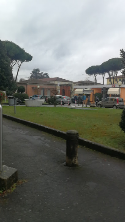 Ambulatorio Dermatologia Campo Di Marte