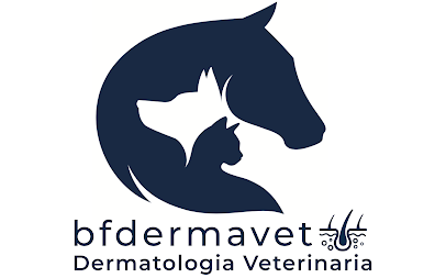 Dr.ssa Beatrice Funiciello Dermatologia Veterinaria