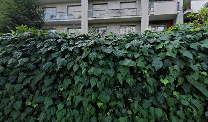 Dr. Massimo Dolcet Chirurgo plastico | Blefaroplastica a Torino, Botox, Filler, PRP