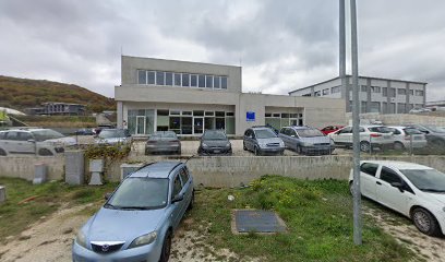 Tricologia Dermatologia e Allergologia Cinzia Guidotti Nuovo Centro Medico